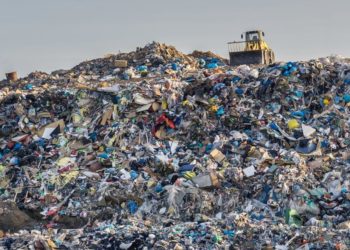 Do Free Markets Create a Wasteful “Landfill Economy”? Definitely Not