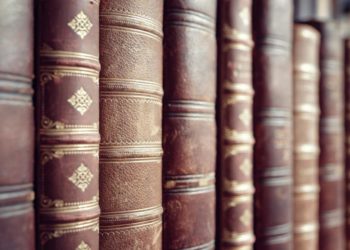 A Tale of Two Legal Systems: Common Law and Statutory Law