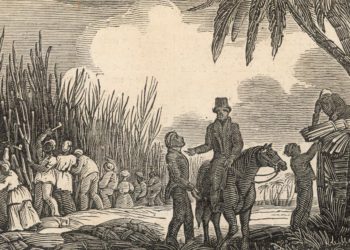 The Industrial Revolution and the West Indies: Did the Colonies Spark Progress in the Metropole?