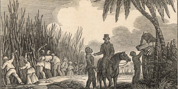 The Industrial Revolution and the West Indies: Did the Colonies Spark Progress in the Metropole?