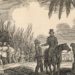 The Industrial Revolution and the West Indies: Did the Colonies Spark Progress in the Metropole?