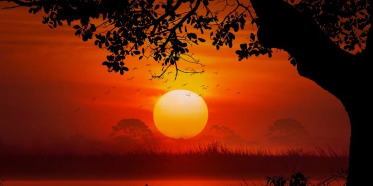 The Mali Empire: An African Story of Gold and Greatness