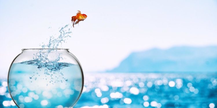 Defining and Defending Freedom