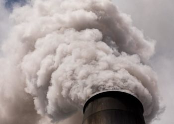 Is Economic Growth Synonymous with Ecological Destruction? The NYT Gets It Wrong (Again)