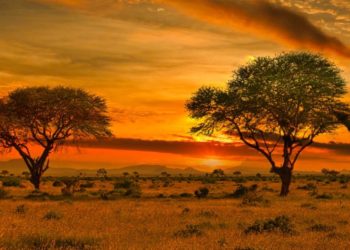 Africa’s Path to Energy Prosperity Is with Free Markets, Not Eco-Colonialism