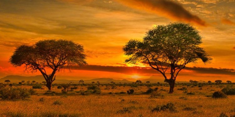 Africa’s Path to Energy Prosperity Is with Free Markets, Not Eco-Colonialism