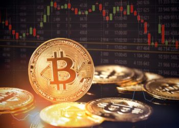 Cryptocurrency as Money—Store of Value or Medium of Exchange?