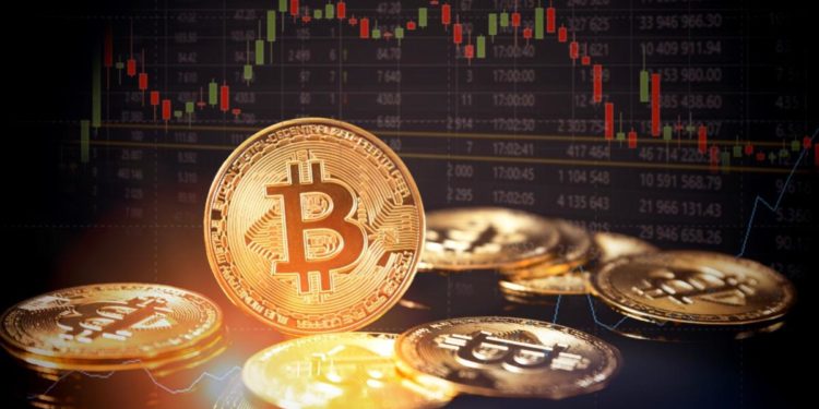 Cryptocurrency as Money—Store of Value or Medium of Exchange?