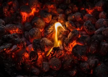 Europe Ditched Russian Energy. Now People Are Sitting in Line For Days to Buy Coal. Is Biden to Blame?