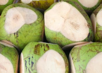 The Praxeological Origins of the Price System