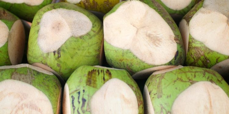 The Praxeological Origins of the Price System