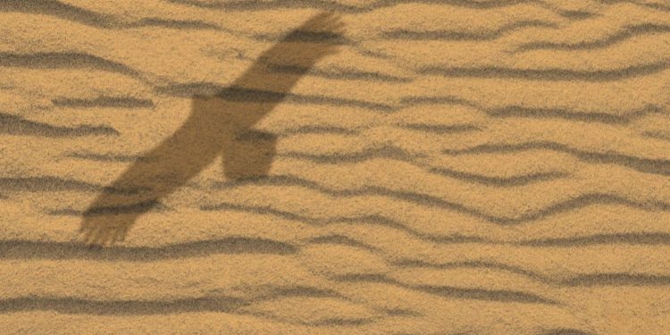 America’s Secret Government by Proxy