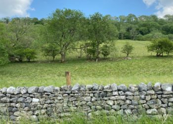 The Enclosure Movement and the Agricultural and Industrial Revolutions