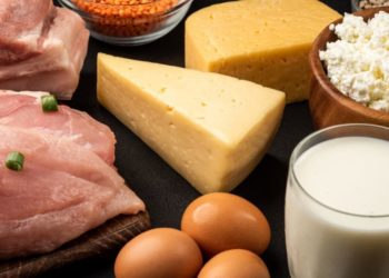 The Bretton Woods Institutions and the Accelerated Dystopian Transformation of the Food Industry