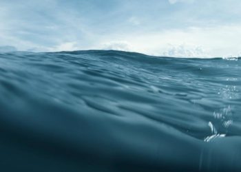 Inflation in the USA: Where Do We Stand Today?