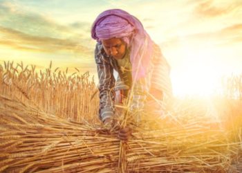 The “Stunning Success” of the Green Revolution Is Yet Another Progressive Myth