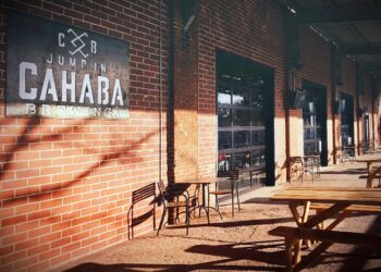 Mises Meetup in Birmingham