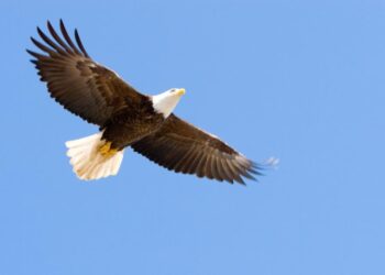 Has the USA Reached Another Historical Inflection Point?