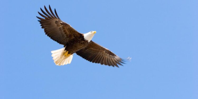 Has the USA Reached Another Historical Inflection Point?