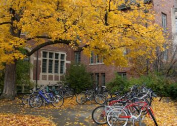 The Perils of Higher Education: Institutional Failure