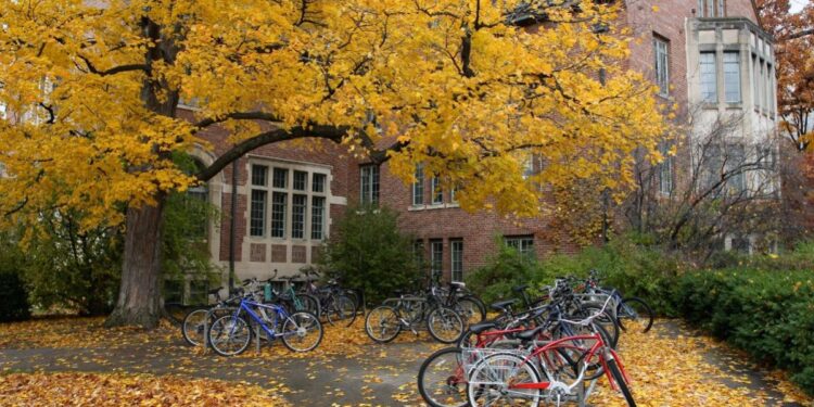 The Perils of Higher Education: Institutional Failure