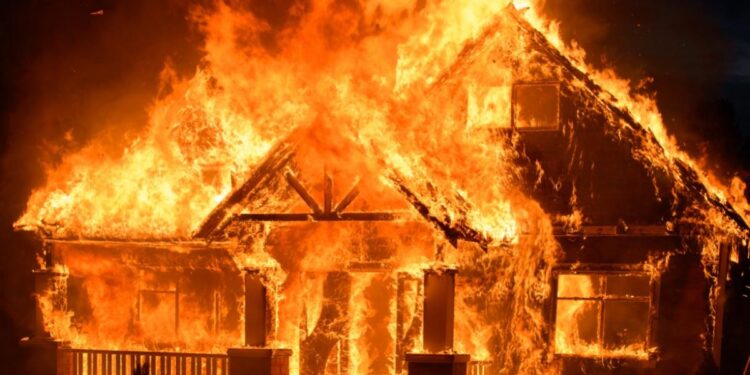 Burning Down Rothbard