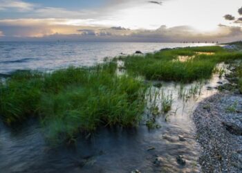 Critiquing Florida’s Public Policy of “Shared Adversity”