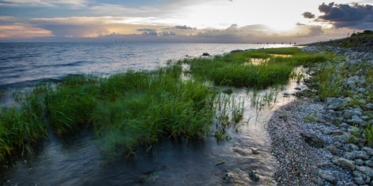 Critiquing Florida’s Public Policy of “Shared Adversity”