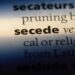 On Secession and Small States