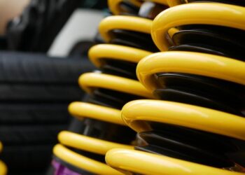 Black Hole or Shock Absorber: How Does a Free-Market Economy Respond to Crises?