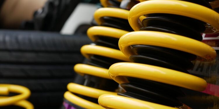 Black Hole or Shock Absorber: How Does a Free-Market Economy Respond to Crises?