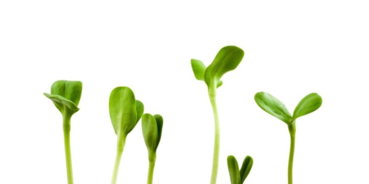 Can a Free Market Economy Be Trusted to Recover on Its Own?