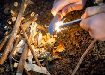 Declining Prices Do Not Destroy Wealth; They Enable Its Creation