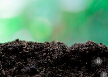 The Science Is Wrong: It’s Soil, Not Oil