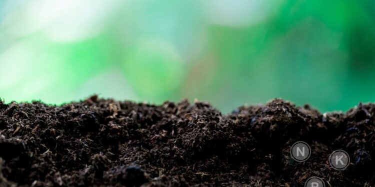 The Science Is Wrong: It’s Soil, Not Oil