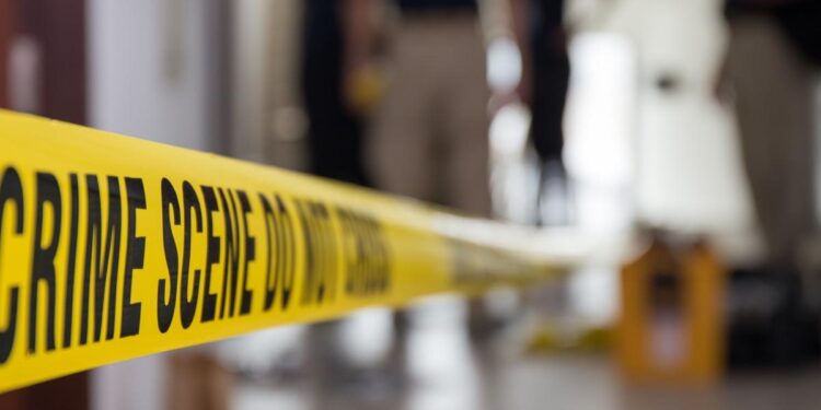 The Student Murders in Idaho Highlight the Unimpressive Police Record on Violent Crime