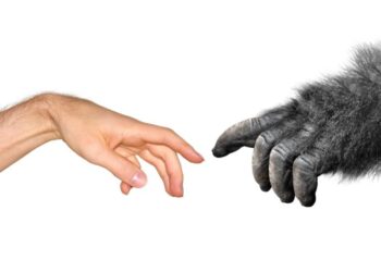 Mises’s Critiques of Social Darwinism and of the Concept of Class Struggle