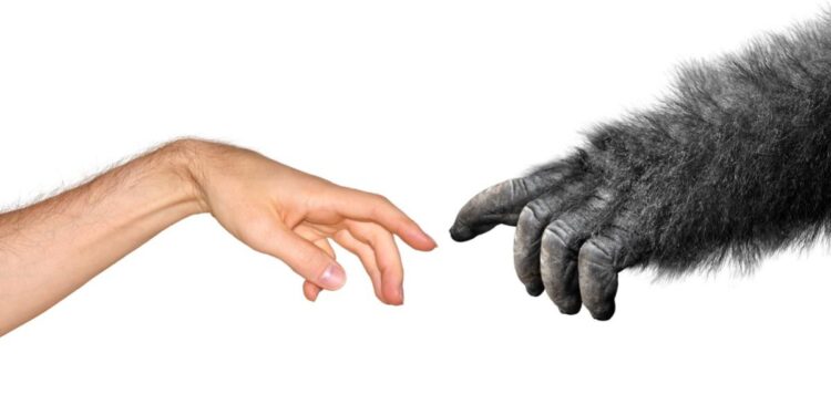 Mises’s Critiques of Social Darwinism and of the Concept of Class Struggle