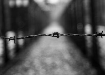 R.G. Collingwood on the Collapse of Civilization