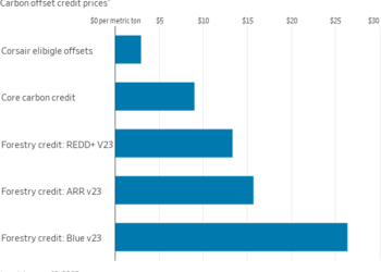 Carbon offsets: a guide to avoiding food poisoning