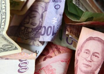 The Government Seeks Totalitarian Money