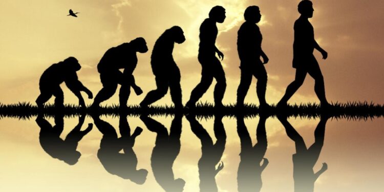 What Happens When Human Progress Takes a Break?