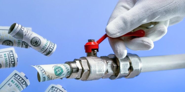 Why Governments Waste Resources: The Case of Newfoundland’s Joseph R. Smallwood