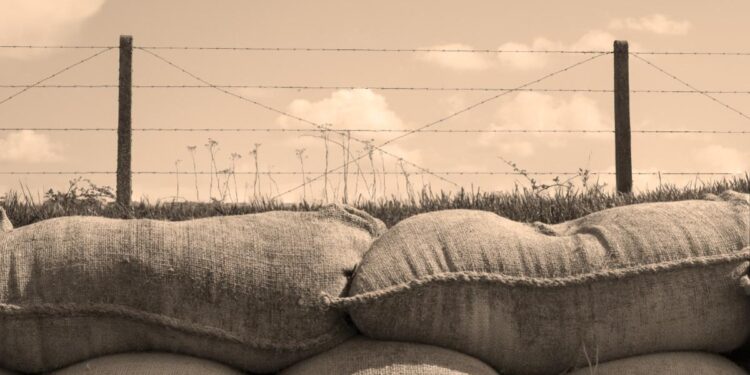 The Outbreak of World War I: A Libertarian Realist Rebuttal