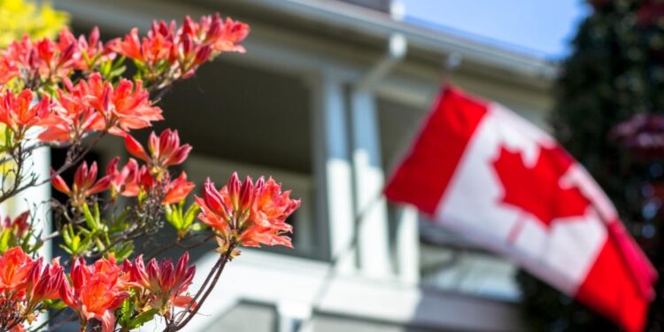 Canada’s Housing Boom Was a Bubble. Now Comes the Bust