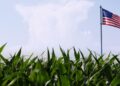 The Current Farm Bill Fraud: Government as Usual