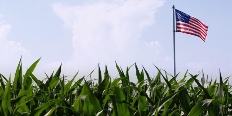 The Current Farm Bill Fraud: Government as Usual