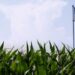 The Current Farm Bill Fraud: Government as Usual