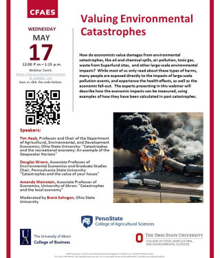 Free Webinar: Valuing Environmental Catastrophes (with an impressive lineup of experts if I do say so myself!)