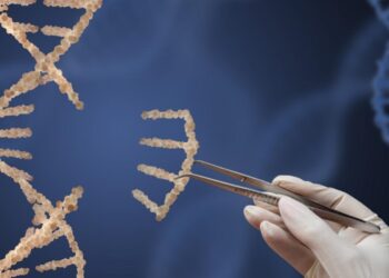 The Boston Brahmins, WASPs, and Nazis: The Pursuit of Eugenics